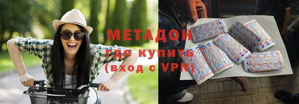 шишки Кодинск