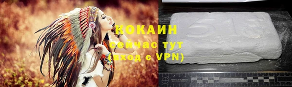 шишки Кодинск