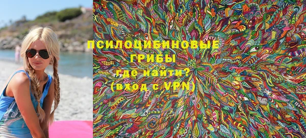 дживик Козловка