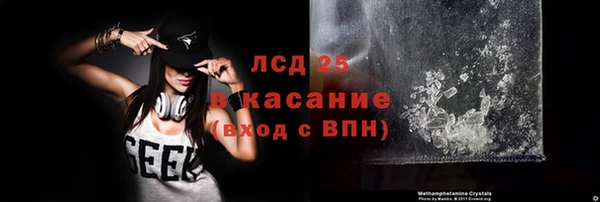 шишки Кодинск