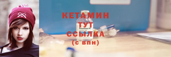 шишки Кодинск