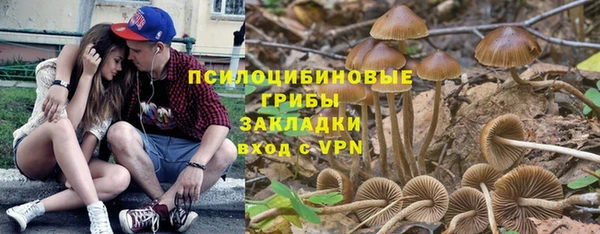 дживик Козловка