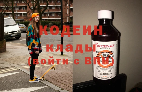 шишки Кодинск