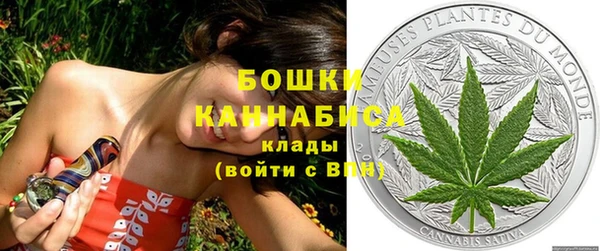 шишки Кодинск