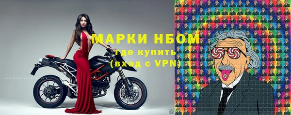 шишки Кодинск