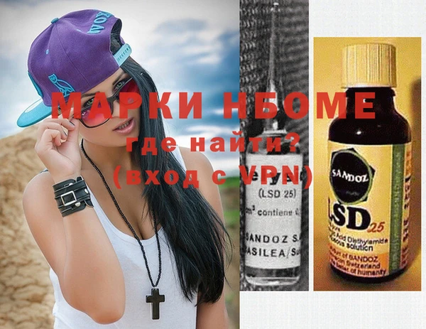 шишки Кодинск