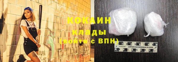 дживик Козловка