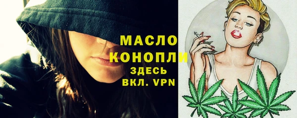 шишки Кодинск