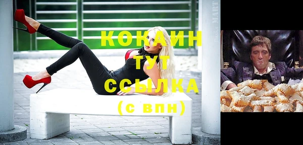 шишки Кодинск