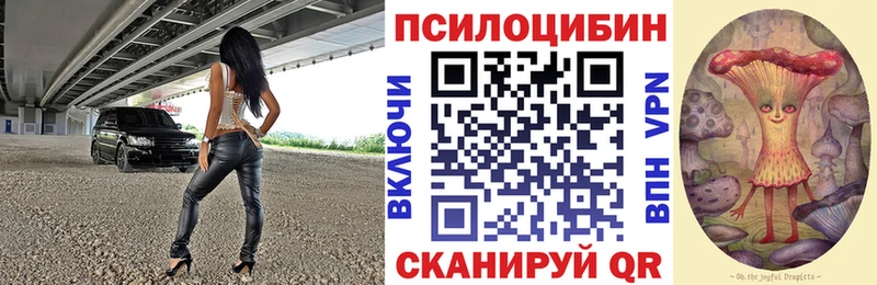 Псилоцибиновые грибы ЛСД  Купить  Торопец 