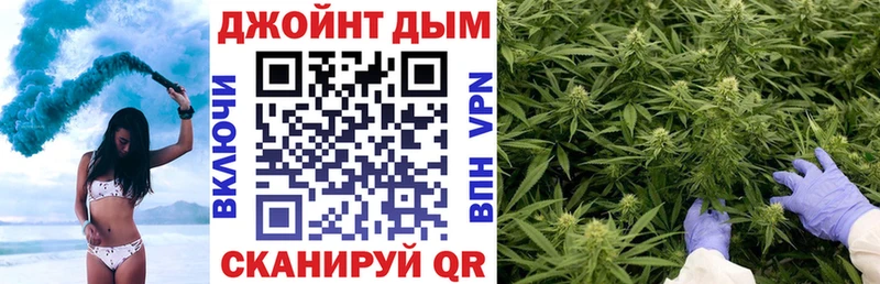 Купить где  Торопец  Конопля гибрид 